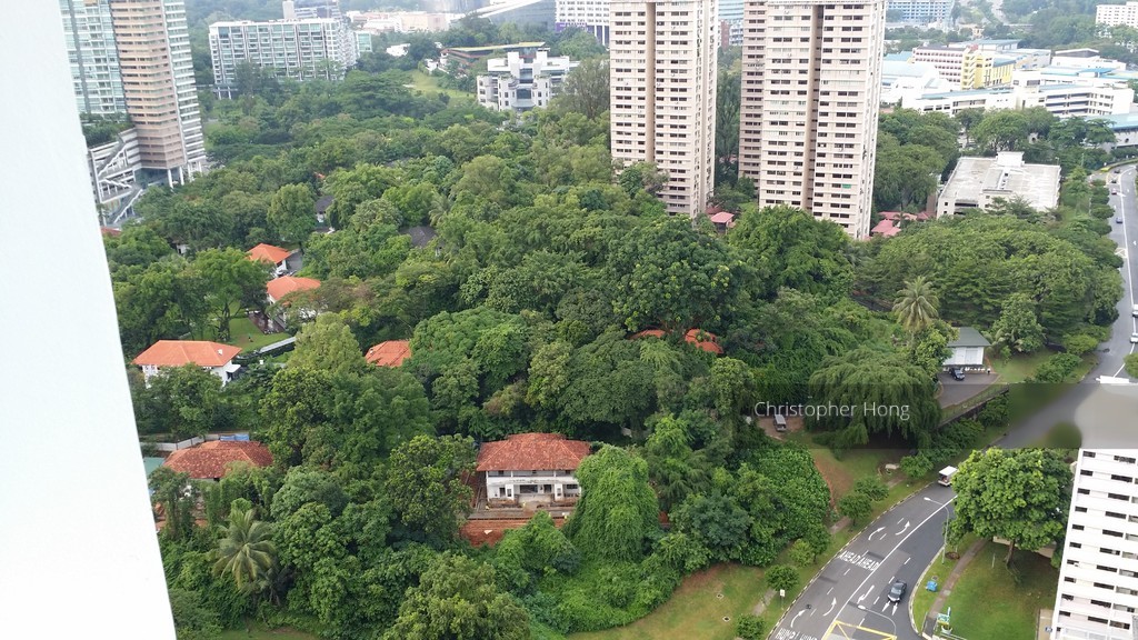 Blk 27 Ghim Moh Link (Queenstown), HDB 4 Rooms #144997422